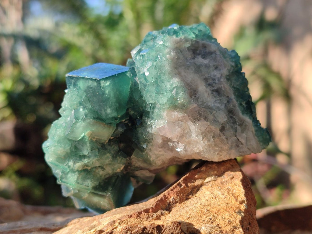 Natural Green Cubic Fluorite Specimens x 6 From Mandrosonoro, Madagascar - Toprock Gemstones and Minerals 