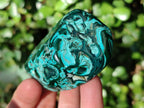 Polished Malacolla Free Forms x 6 From Kulukuluku, Congo - Toprock Gemstones and Minerals 