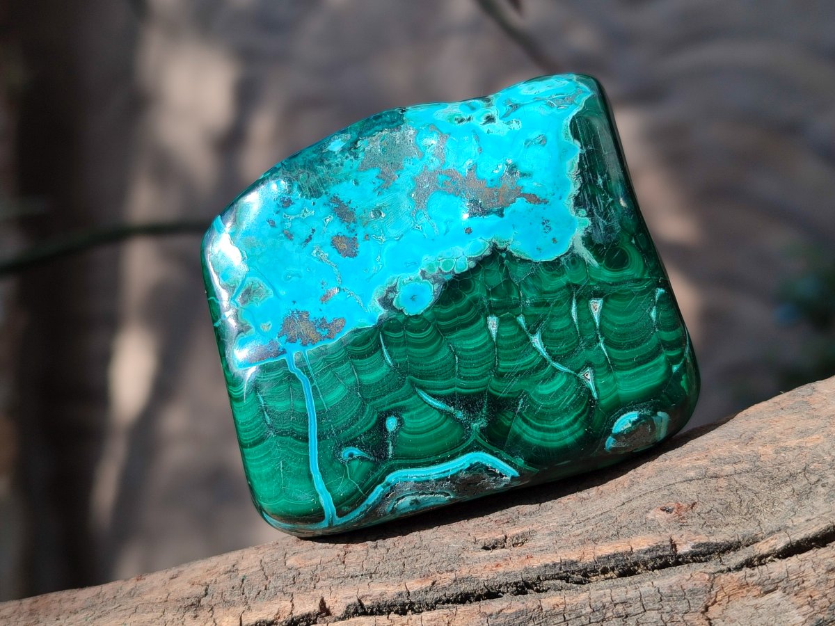 Polished Malacolla Free Forms x 6 From Kulukuluku, Congo - Toprock Gemstones and Minerals 