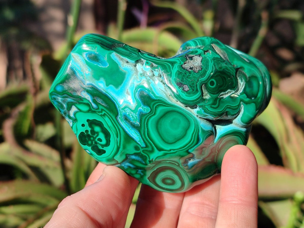 Polished Malacolla Free Forms x 6 From Kulukuluku, Congo - Toprock Gemstones and Minerals 