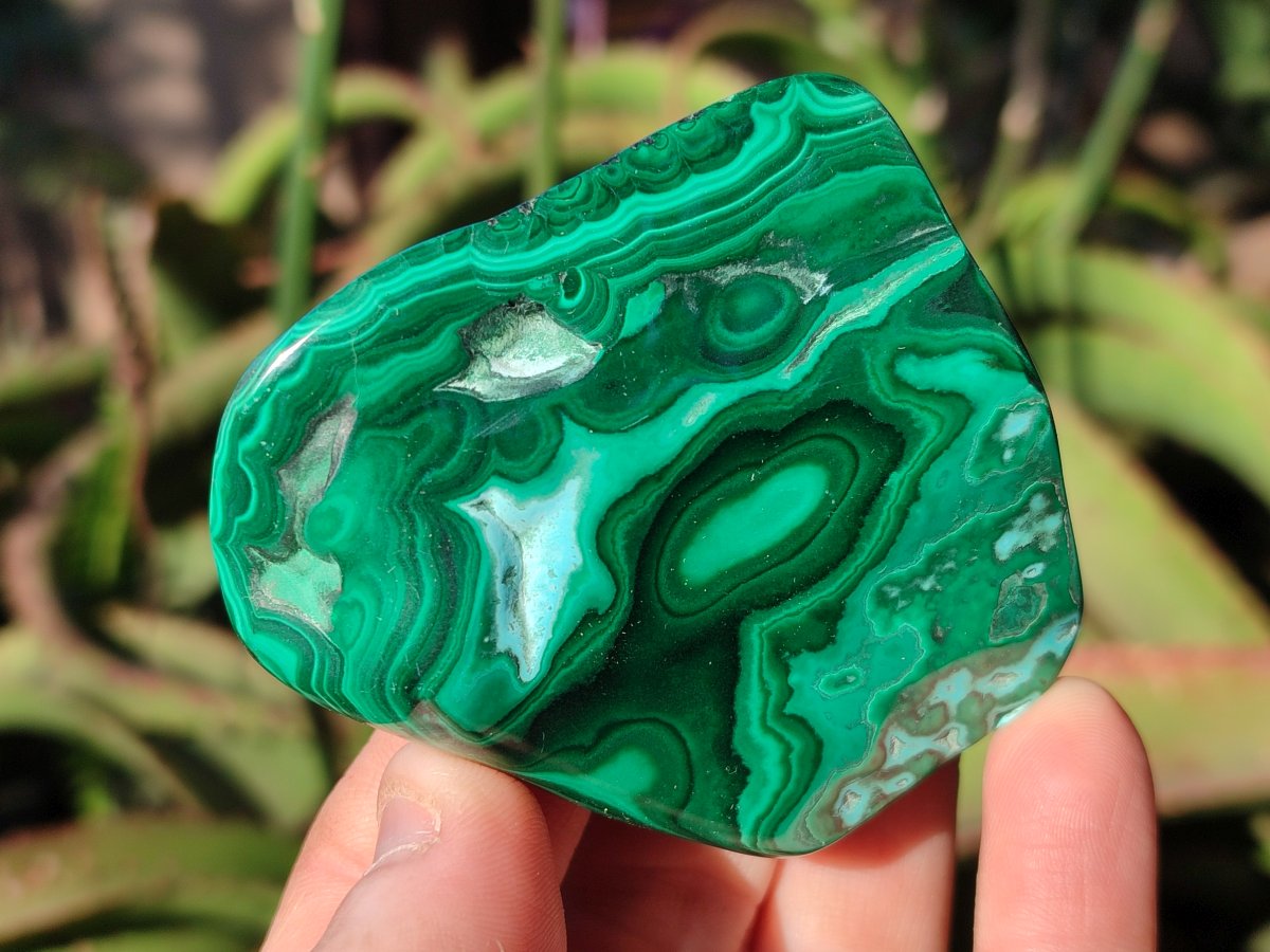 Polished Malacolla Free Forms x 6 From Kulukuluku, Congo - Toprock Gemstones and Minerals 