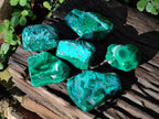 Polished Malacolla Free Forms x 6 From Kulukuluku, Congo - Toprock Gemstones and Minerals 