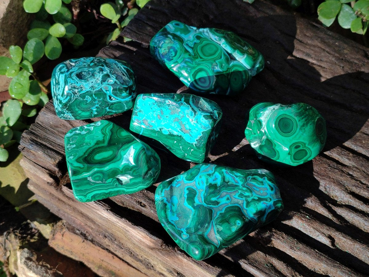 Polished Malacolla Free Forms x 6 From Kulukuluku, Congo - Toprock Gemstones and Minerals 