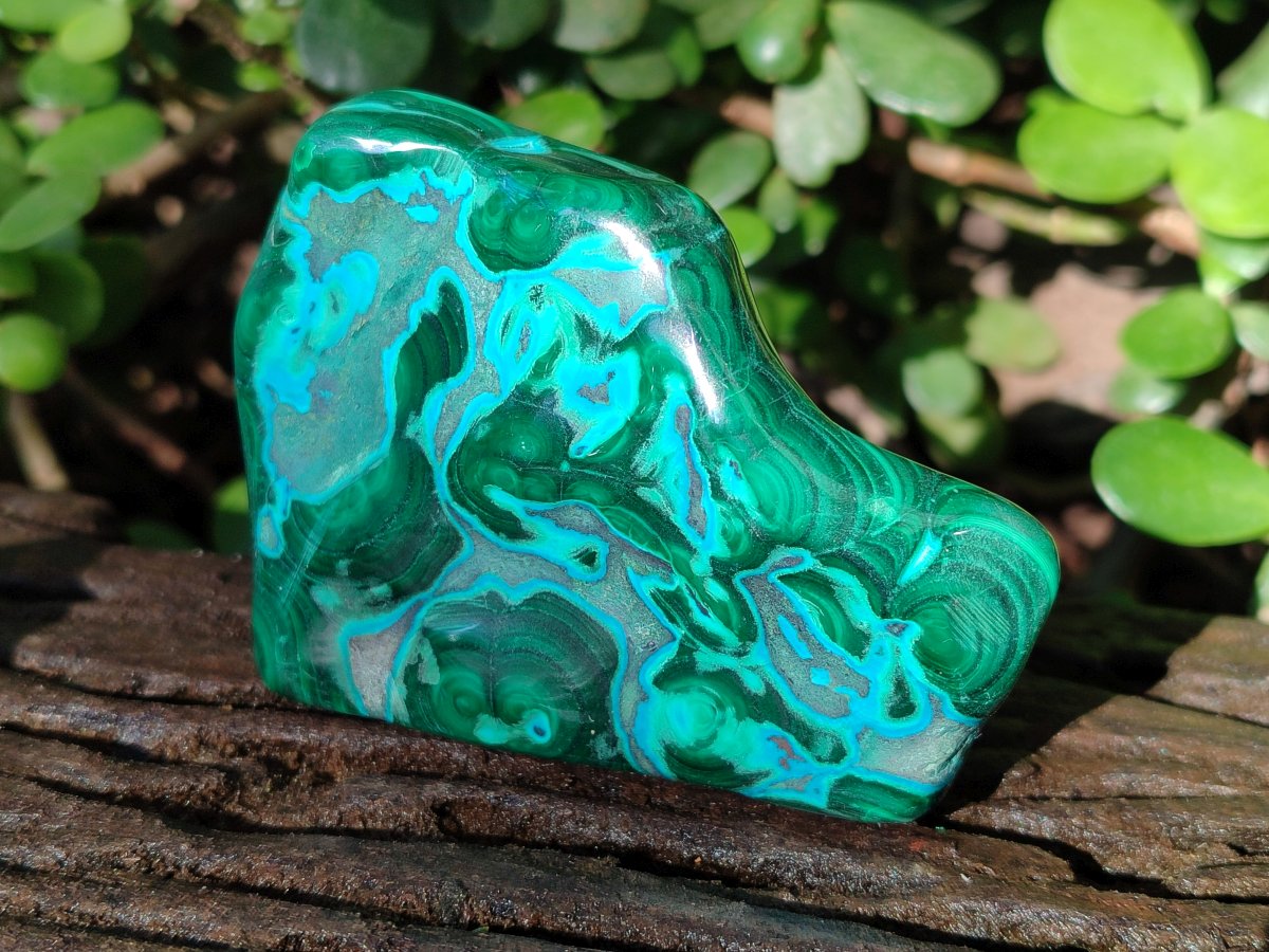 Polished Malacolla Free Forms x 6 From Kulukuluku, Congo - Toprock Gemstones and Minerals 