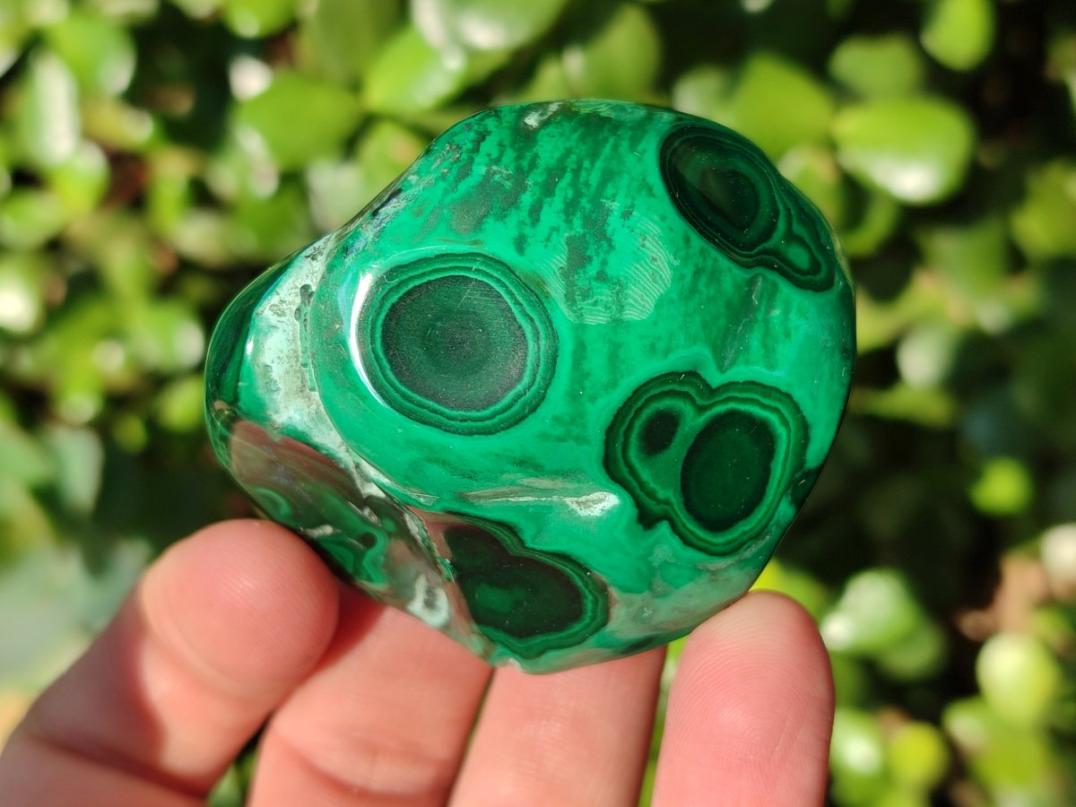 Polished Malacolla Free Forms x 6 From Kulukuluku, Congo - Toprock Gemstones and Minerals 