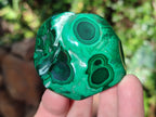 Polished Malacolla Free Forms x 6 From Kulukuluku, Congo - Toprock Gemstones and Minerals 