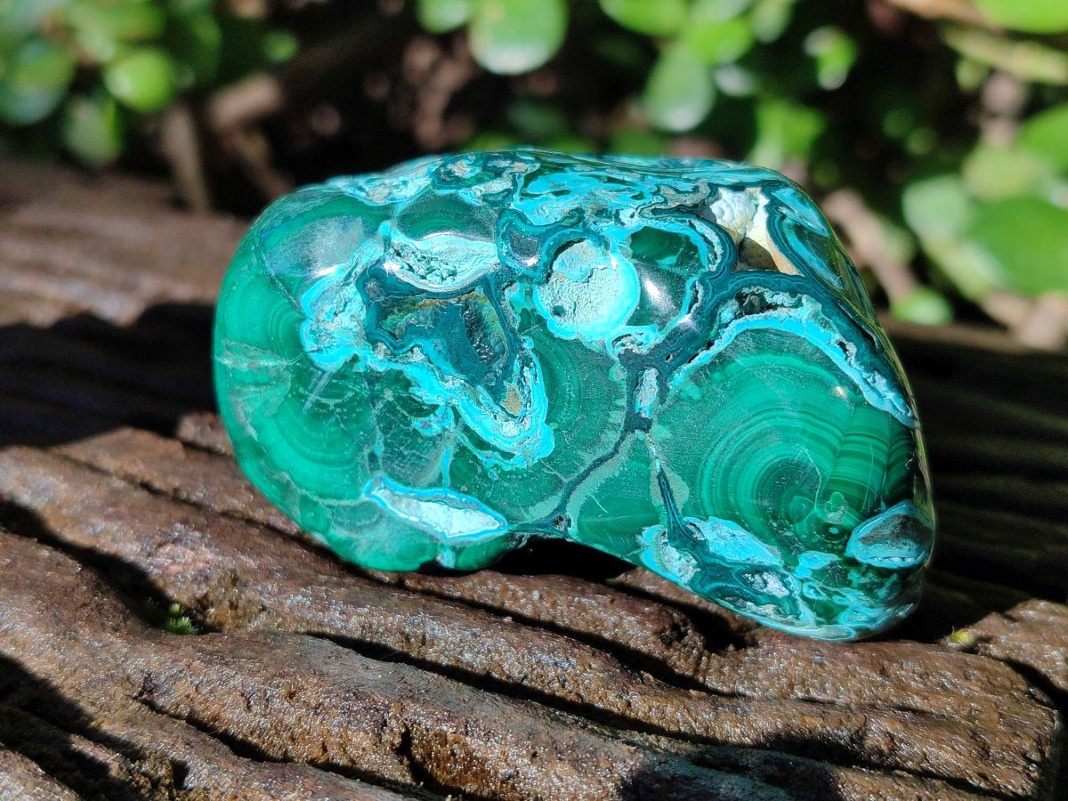Polished Malacolla Free Forms x 6 From Kulukuluku, Congo - Toprock Gemstones and Minerals 