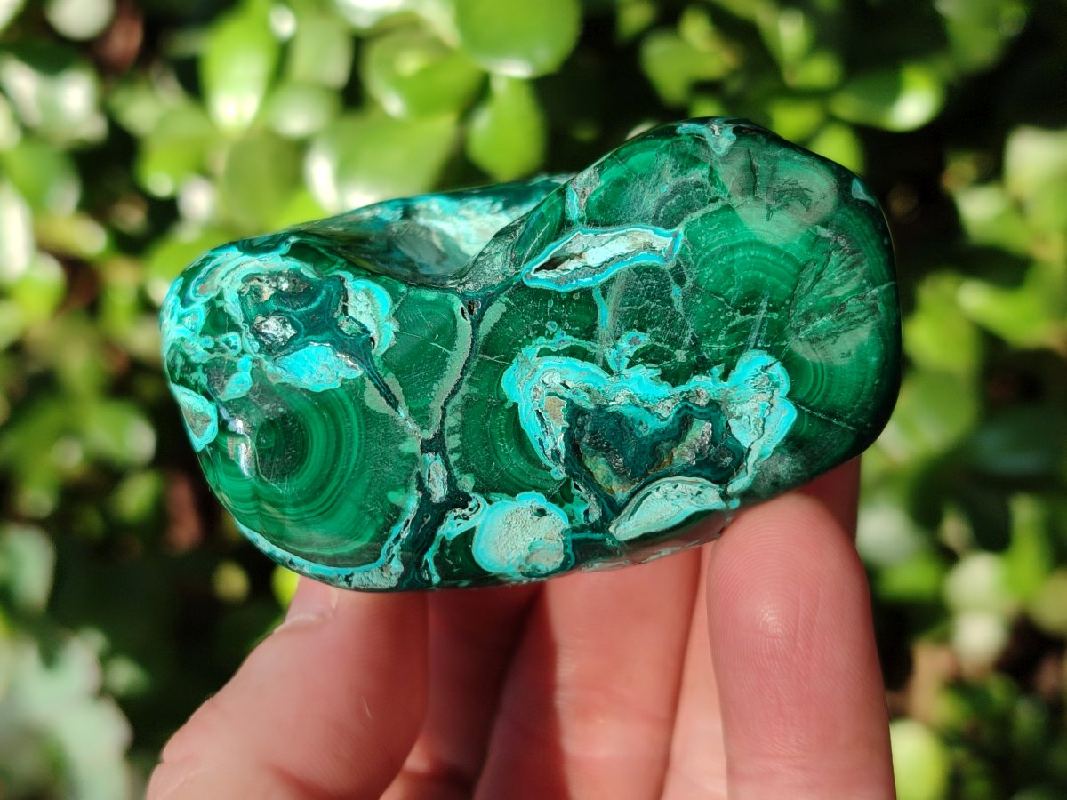 Polished Malacolla Free Forms x 6 From Kulukuluku, Congo - Toprock Gemstones and Minerals 