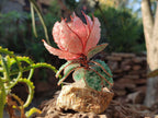 Hand Made Gemstone Protea Flowers x 6 From South Africa - Toprock Gemstones and Minerals 