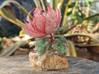 Hand Made Gemstone Protea Flowers x 6 From South Africa - Toprock Gemstones and Minerals 