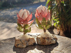 Hand Made Gemstone Protea Flowers x 6 From South Africa - Toprock Gemstones and Minerals 