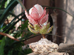 Hand Made Gemstone Protea Flowers x 6 From South Africa - Toprock Gemstones and Minerals 