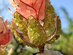 Hand Made Gemstone Protea Flowers x 6 From South Africa - Toprock Gemstones and Minerals 