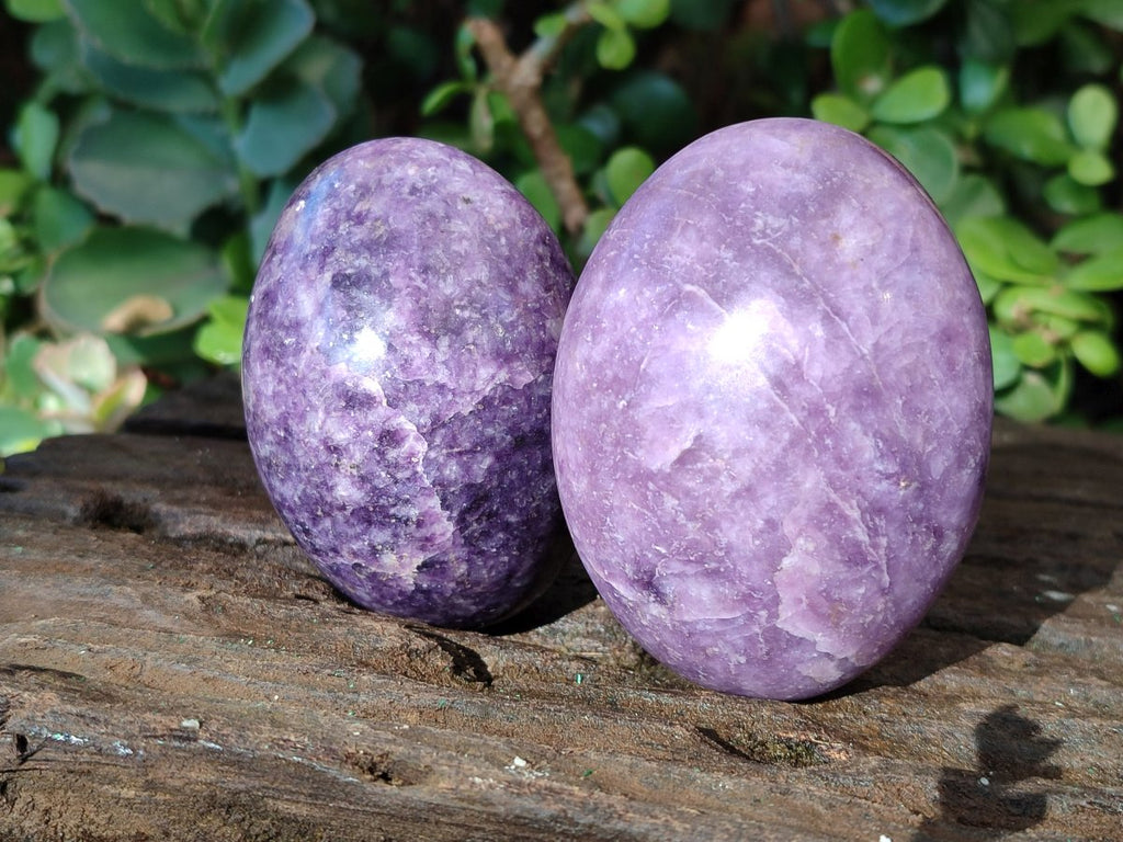Polished Lepidolite Free Forms x 12 From Zimbabwe - Toprock Gemstones and Minerals 