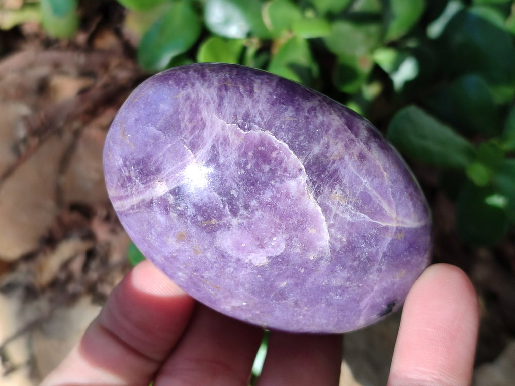 Polished Lepidolite Free Forms x 12 From Zimbabwe - Toprock Gemstones and Minerals 