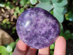 Polished Lepidolite Free Forms x 12 From Zimbabwe - Toprock Gemstones and Minerals 