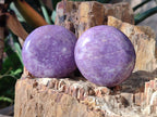Polished Lepidolite Free Forms x 12 From Zimbabwe - Toprock Gemstones and Minerals 