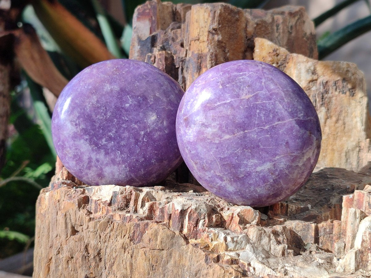Polished Lepidolite Free Forms x 12 From Zimbabwe - Toprock Gemstones and Minerals 