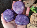 Polished Lepidolite Free Forms x 12 From Zimbabwe - Toprock Gemstones and Minerals 