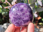 Polished Lepidolite Free Forms x 12 From Zimbabwe - Toprock Gemstones and Minerals 