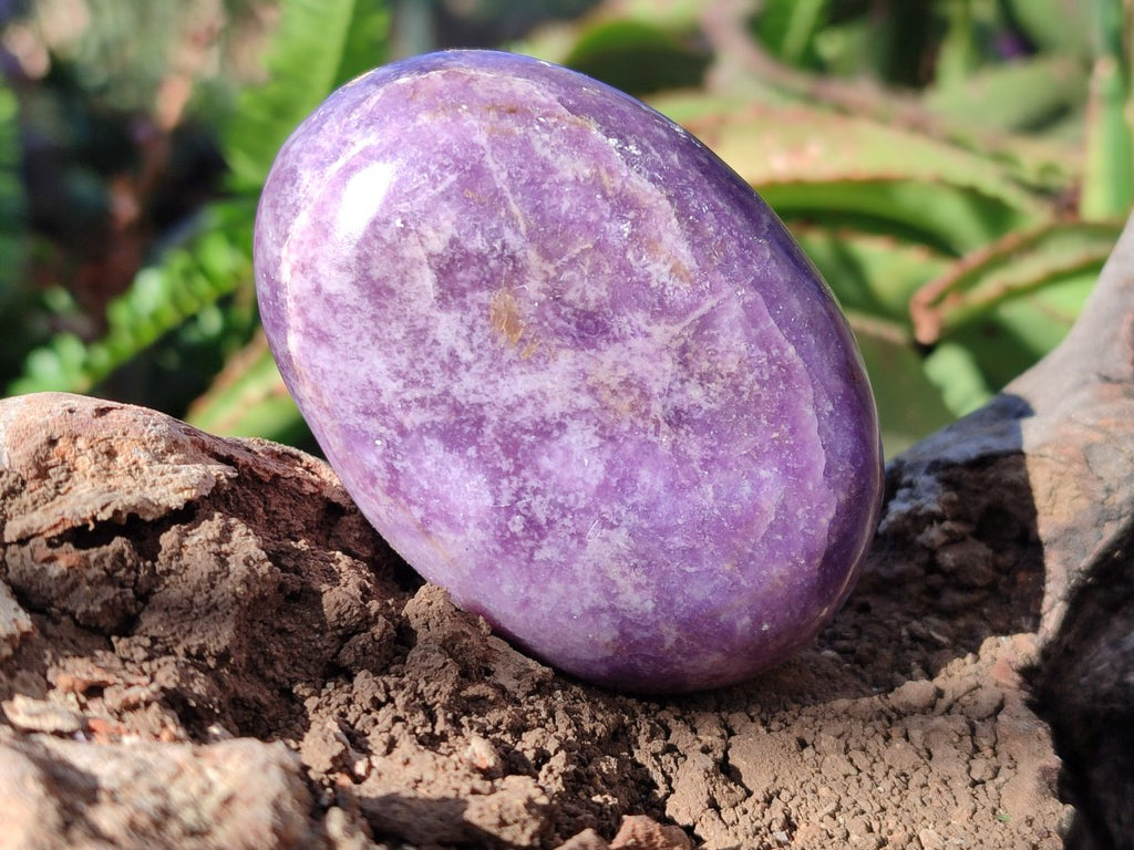 Polished Lepidolite Free Forms x 12 From Zimbabwe - Toprock Gemstones and Minerals 