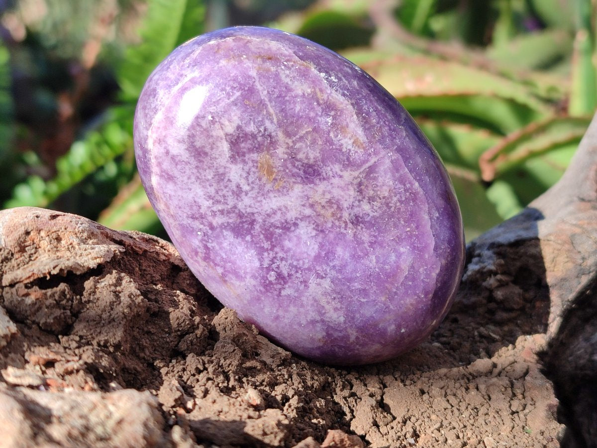 Polished Lepidolite Free Forms x 12 From Zimbabwe - Toprock Gemstones and Minerals 
