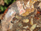 Polished Cleoniceras Ammonite Fossil Pairs x 7 From Tulear, Madagascar - Toprock Gemstones and Minerals 