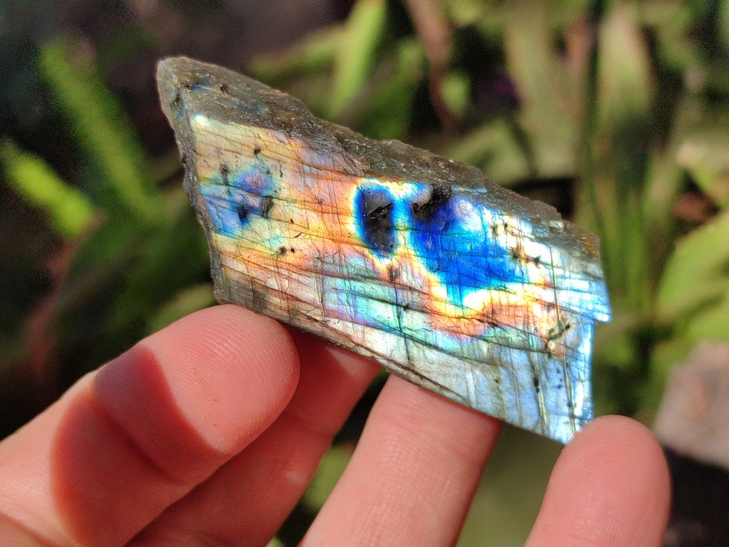 Polished on One Side Labradorite Slices x 35 From Madagascar - Toprock Gemstones and Minerals 
