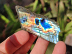 Polished on One Side Labradorite Slices x 35 From Madagascar - Toprock Gemstones and Minerals 