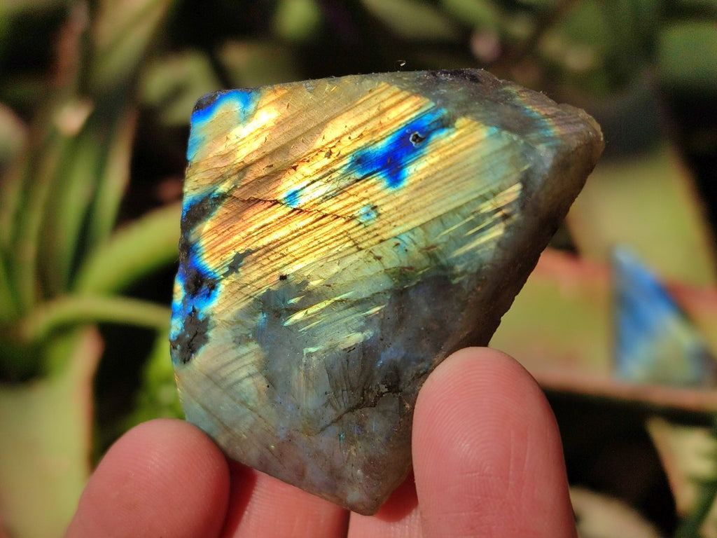 Polished on One Side Labradorite Slices x 35 From Madagascar - Toprock Gemstones and Minerals 
