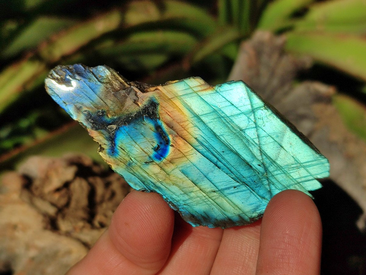 Polished on One Side Labradorite Slices x 35 From Madagascar - Toprock Gemstones and Minerals 