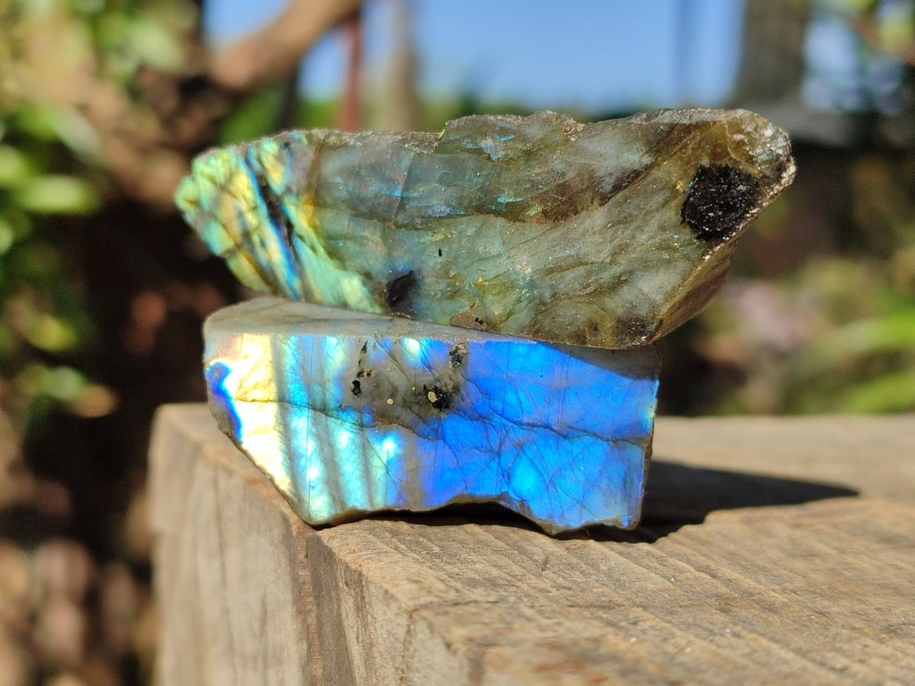 Polished on One Side Labradorite Slices x 35 From Madagascar - Toprock Gemstones and Minerals 