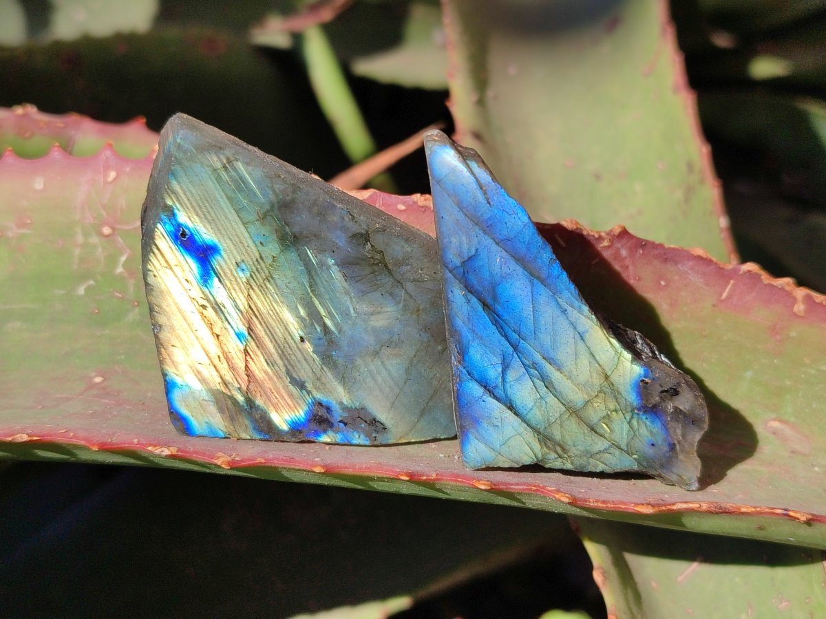 Polished on One Side Labradorite Slices x 35 From Madagascar - Toprock Gemstones and Minerals 