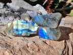 Polished on One Side Labradorite Slices x 35 From Madagascar - Toprock Gemstones and Minerals 