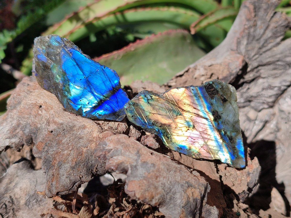 Polished on One Side Labradorite Slices x 35 From Madagascar - Toprock Gemstones and Minerals 