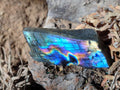 Polished on One Side Labradorite Slices x 35 From Madagascar - Toprock Gemstones and Minerals 