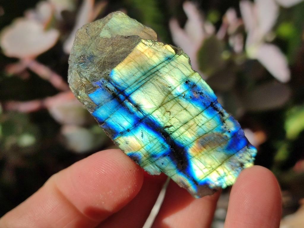 Polished on One Side Labradorite Slices x 35 From Madagascar - Toprock Gemstones and Minerals 