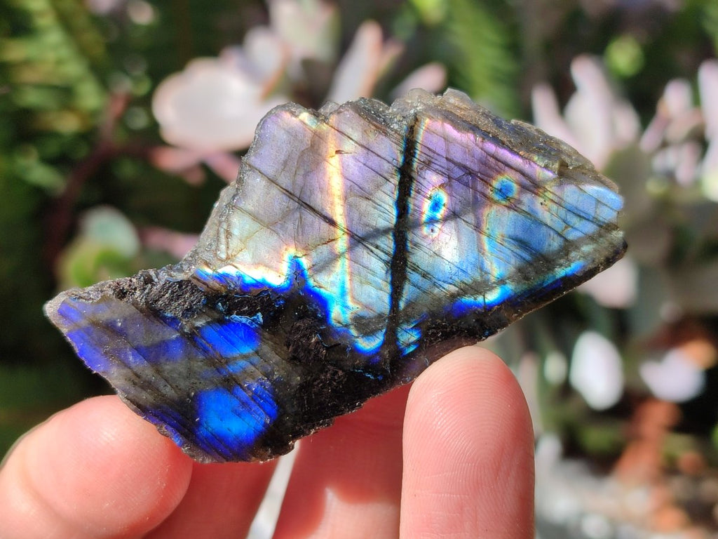 Polished on One Side Labradorite Slices x 35 From Madagascar - Toprock Gemstones and Minerals 