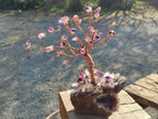 Hand Made Chiredzi Amethyst Wire Wrap Tree x 1 From South Africa - Toprock Gemstones and Minerals 