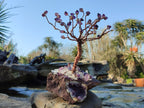 Hand Made Chiredzi Amethyst Wire Wrap Tree x 1 From South Africa - Toprock Gemstones and Minerals 