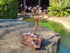 Hand Made Chiredzi Amethyst Wire Wrap Tree x 1 From South Africa - Toprock Gemstones and Minerals 