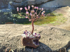 Hand Made Chiredzi Amethyst Wire Wrap Tree x 1 From South Africa - Toprock Gemstones and Minerals 