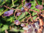 Hand Made Chiredzi Amethyst Wire Wrap Tree x 1 From South Africa - Toprock Gemstones and Minerals 
