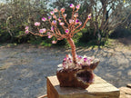 Hand Made Chiredzi Amethyst Wire Wrap Tree x 1 From South Africa - Toprock Gemstones and Minerals 
