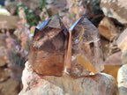 Polished Smokey Window Quartz Crystals x 6 From Madagascar - Toprock Gemstones and Minerals 