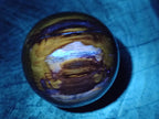 Polished Red Podocarpus Petrified Wood Spheres x 6 From Mahajanga, Madagascar - Toprock Gemstones and Minerals 