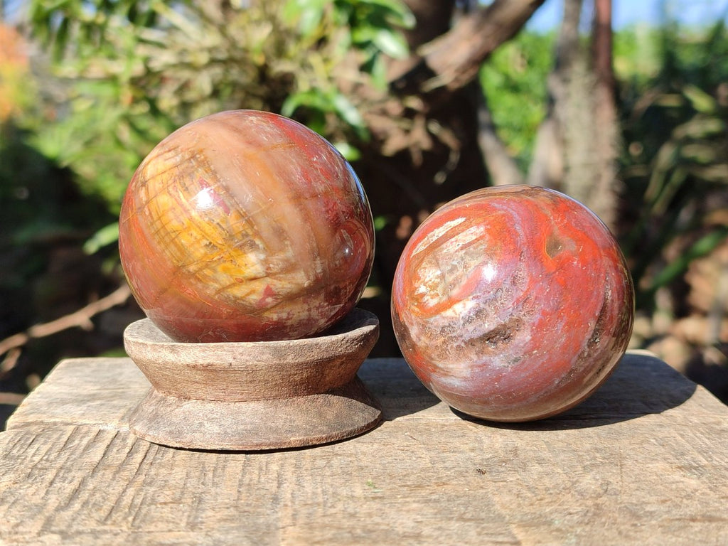 Polished Red Podocarpus Petrified Wood Spheres x 6 From Mahajanga, Madagascar - Toprock Gemstones and Minerals 