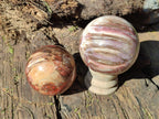 Polished Red Podocarpus Petrified Wood Spheres x 6 From Mahajanga, Madagascar - Toprock Gemstones and Minerals 