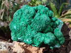 Natural Large Botryoidal Malacolla Specimen x 1 From Kolwezi, Congo - Toprock Gemstones and Minerals 
