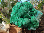 Natural Large Botryoidal Malacolla Specimen x 1 From Kolwezi, Congo - Toprock Gemstones and Minerals 